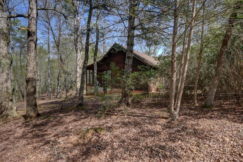 169 Wildhorse Cove Circle, Cleveland GA 30528 - Photo