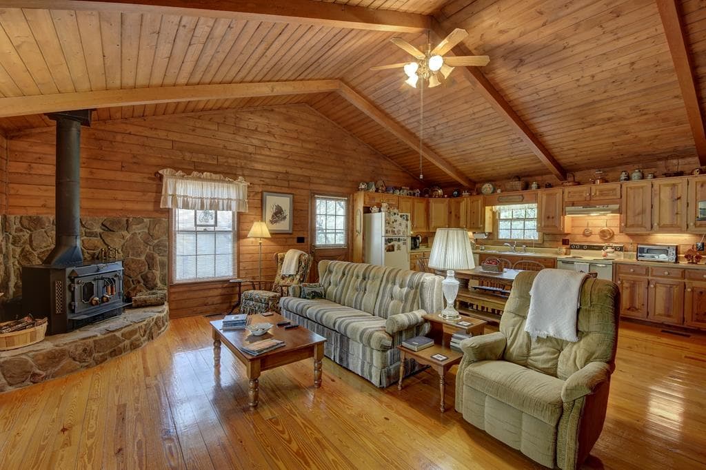 169 Wildhorse Cove Circle, Cleveland GA 30528 - Photo