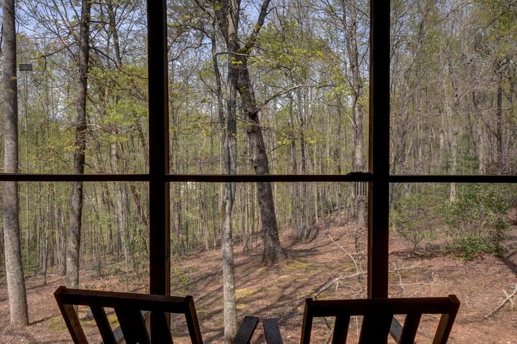 169 Wildhorse Cove Circle, Cleveland GA 30528 - Photo