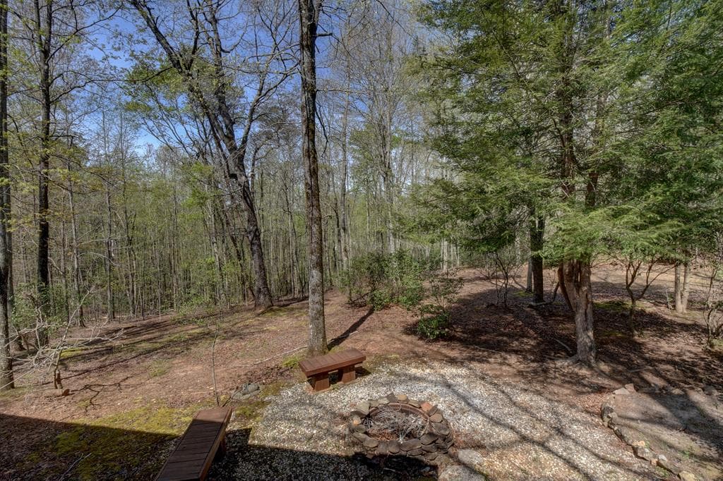 169 Wildhorse Cove Circle, Cleveland GA 30528 - Photo