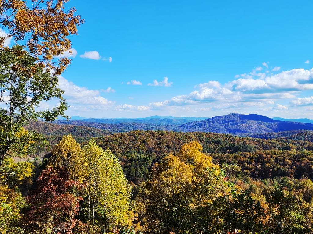 L46 Warbler Road, Murphy NC 28906 - Photo