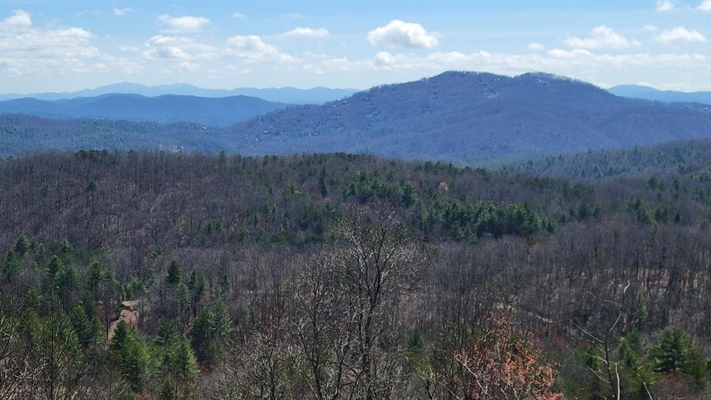 L46 Warbler Road, Murphy NC 28906 - Photo