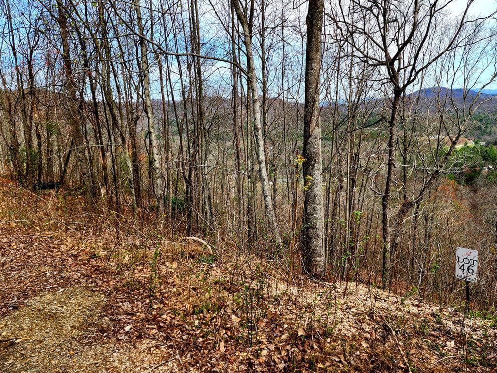 L46 Warbler Road, Murphy NC 28906 - Photo