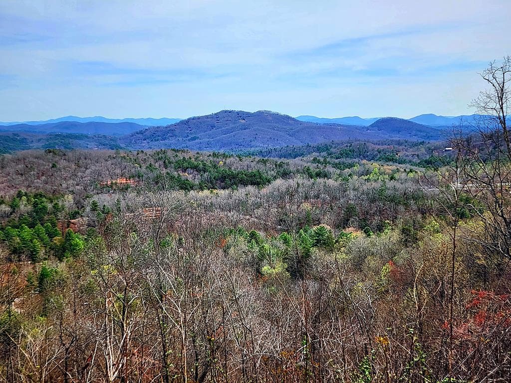 L46 Warbler Road, Murphy NC 28906 - Photo