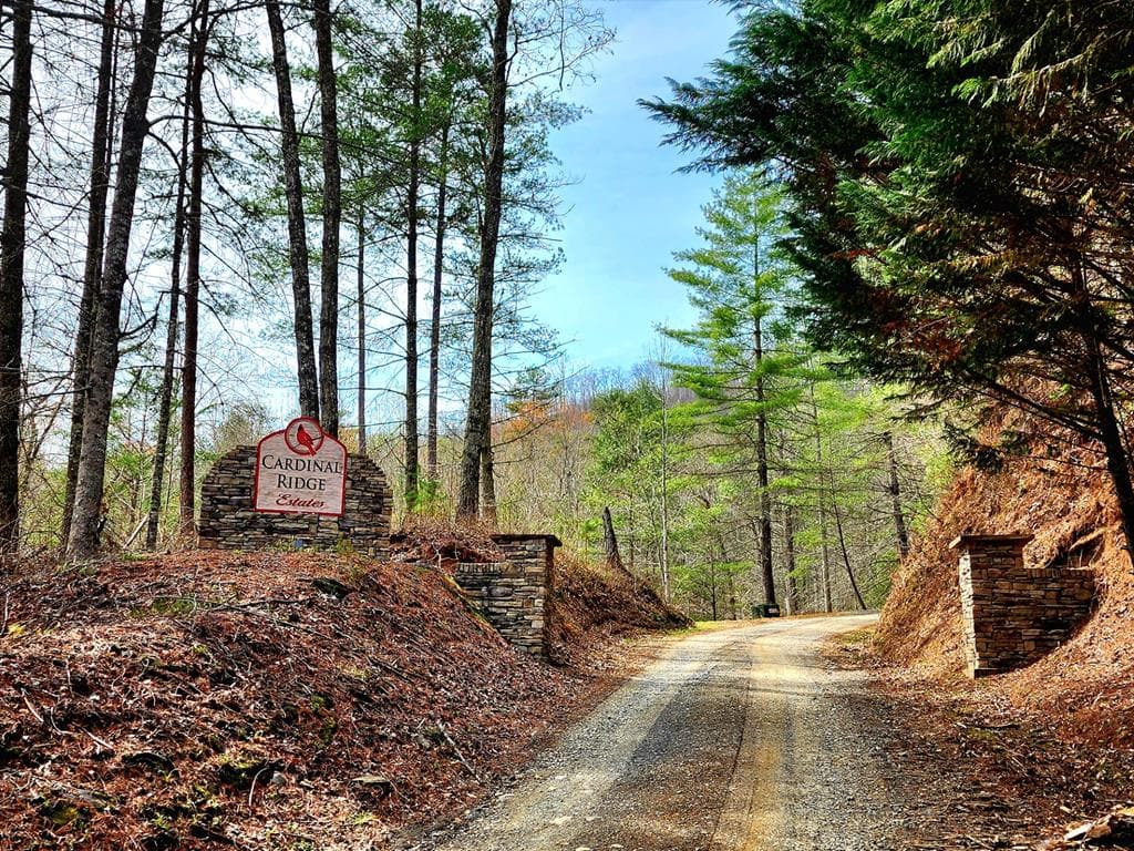 L46 Warbler Road, Murphy NC 28906 - Photo