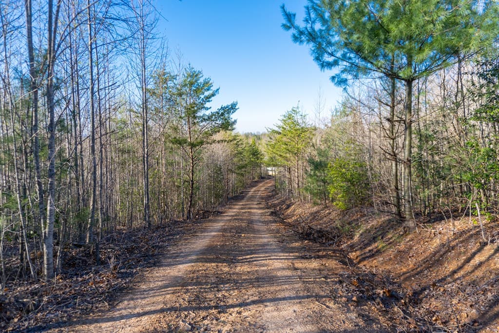 41AC Loving Road, Blairsville GA 30512 - Photo