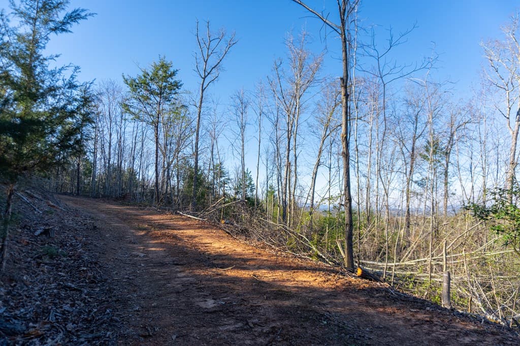 41AC Loving Road, Blairsville GA 30512 - Photo