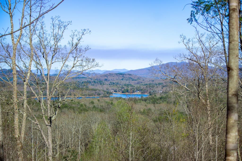 41AC Loving Road, Blairsville GA 30512 - Photo
