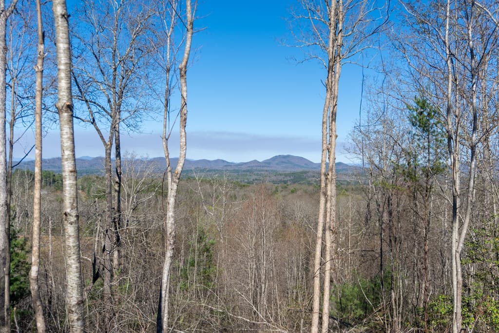 41AC Loving Road, Blairsville GA 30512 - Photo