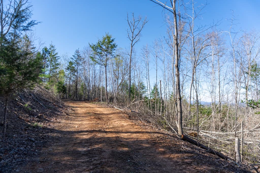 41AC Loving Road, Blairsville GA 30512 - Photo