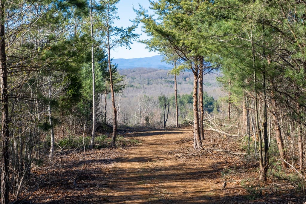 41AC Loving Road, Blairsville GA 30512 - Photo