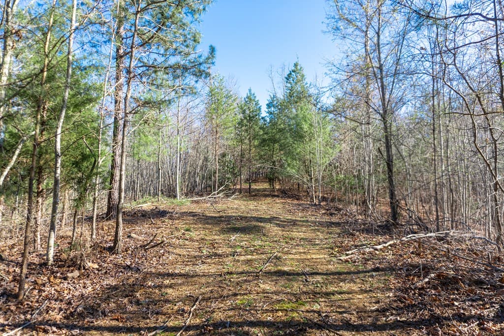 41AC Loving Road, Blairsville GA 30512 - Photo