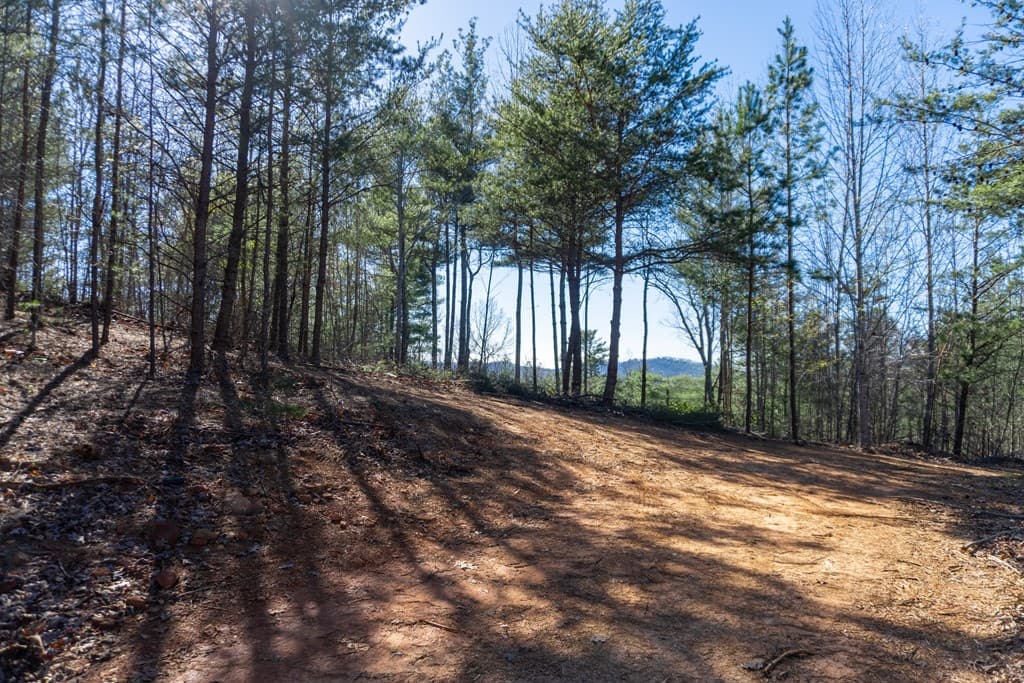 41AC Loving Road, Blairsville GA 30512 - Photo