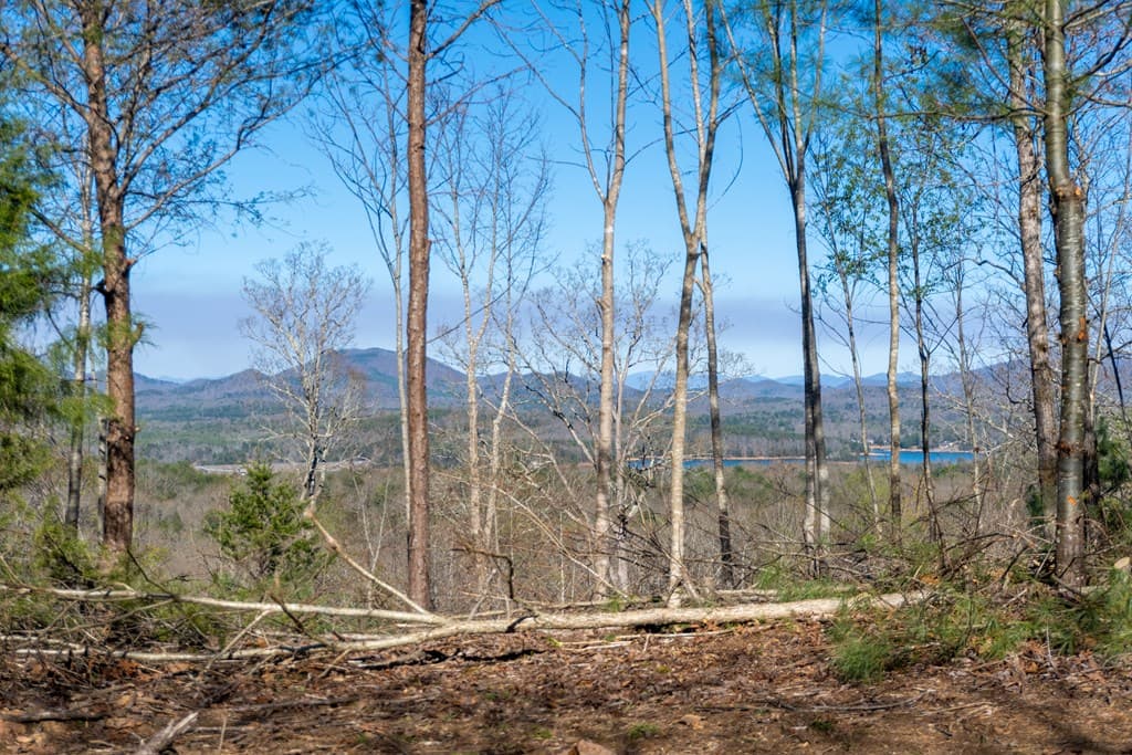 41AC Loving Road, Blairsville GA 30512 - Photo