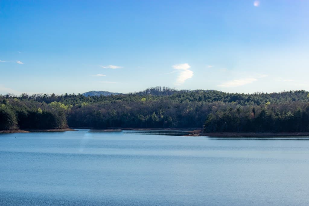 41AC Loving Road, Blairsville GA 30512 - Photo