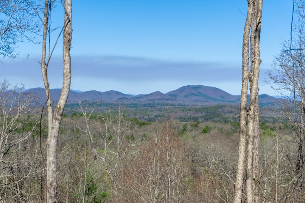 41AC Loving Road, Blairsville GA 30512 - Photo