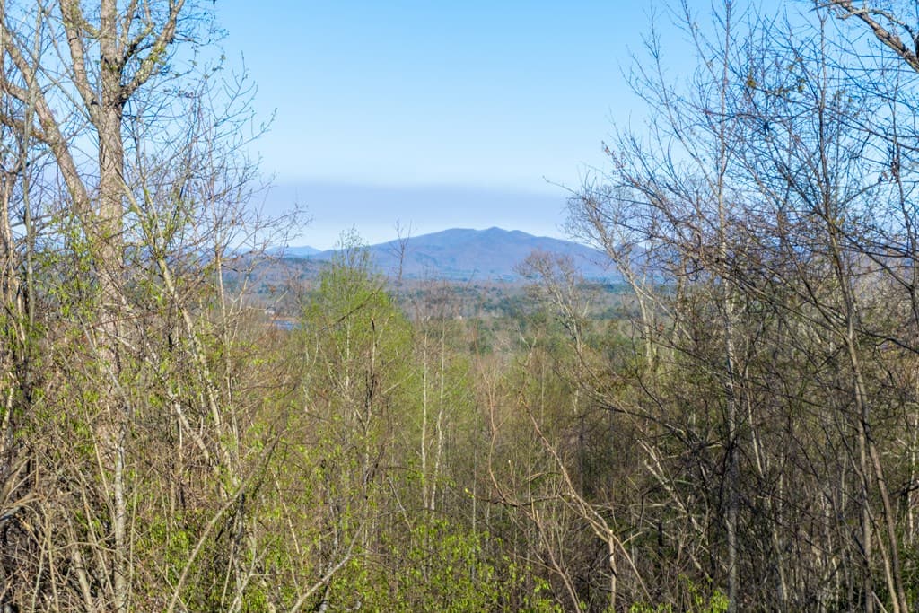 41AC Loving Road, Blairsville GA 30512 - Photo