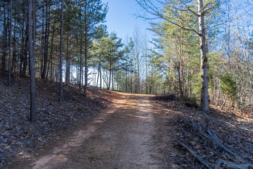 41AC Loving Road, Blairsville GA 30512 - Photo