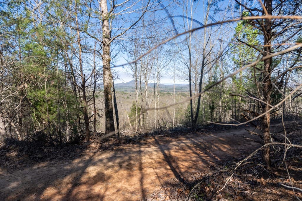 41AC Loving Road, Blairsville GA 30512 - Photo