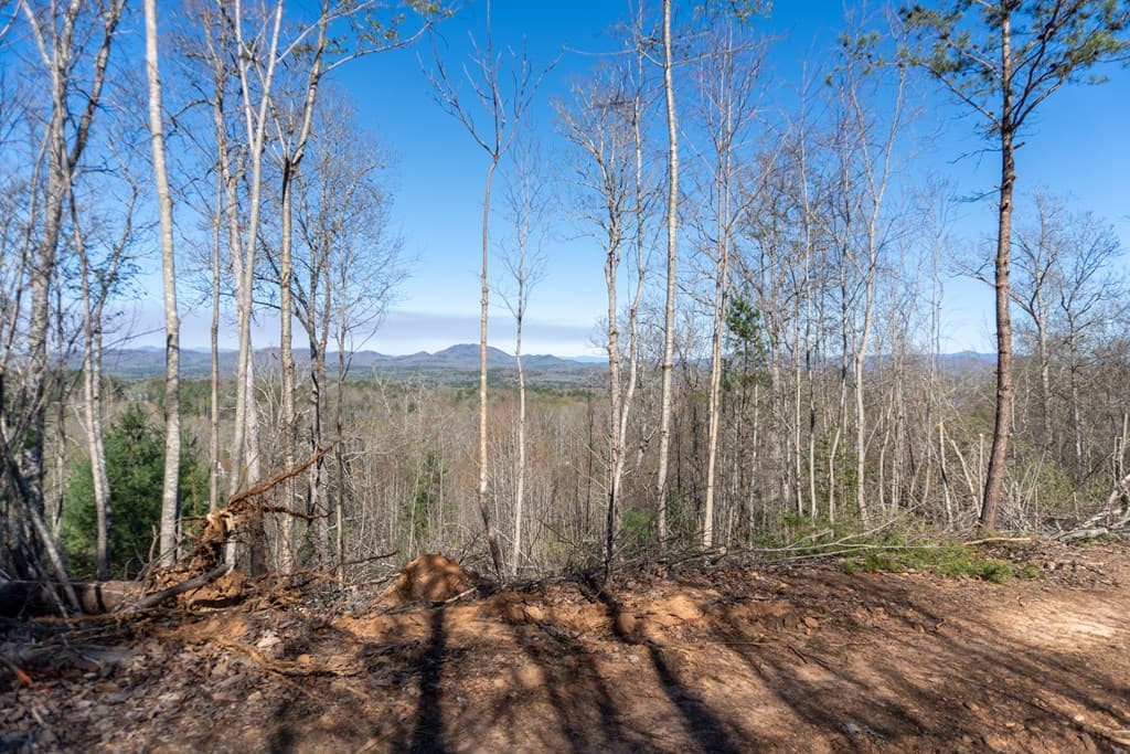 41AC Loving Road, Blairsville GA 30512 - Photo