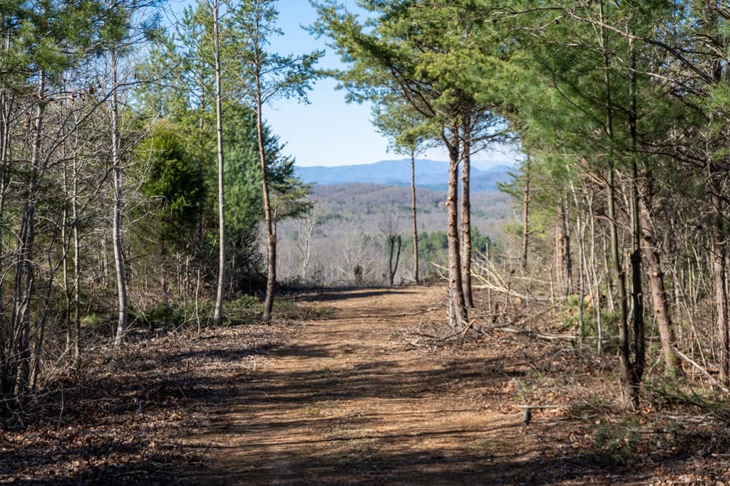 41AC Loving Road, Blairsville GA 30512 - Photo