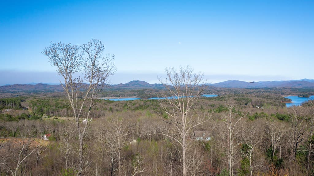 41AC Loving Road, Blairsville GA 30512 - Photo