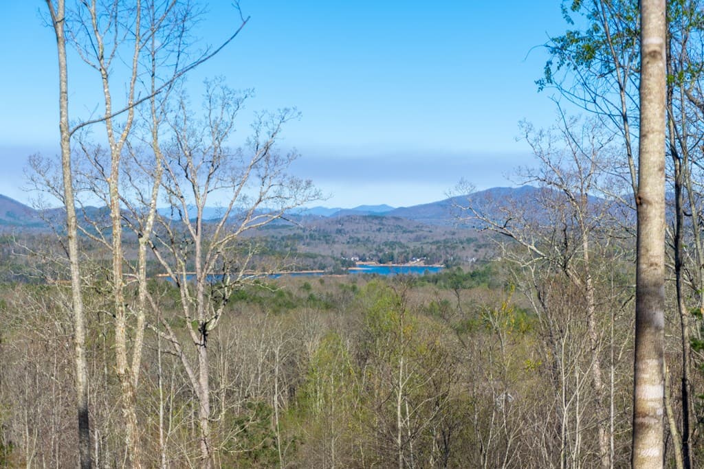 41AC Loving Road, Blairsville GA 30512 - Photo