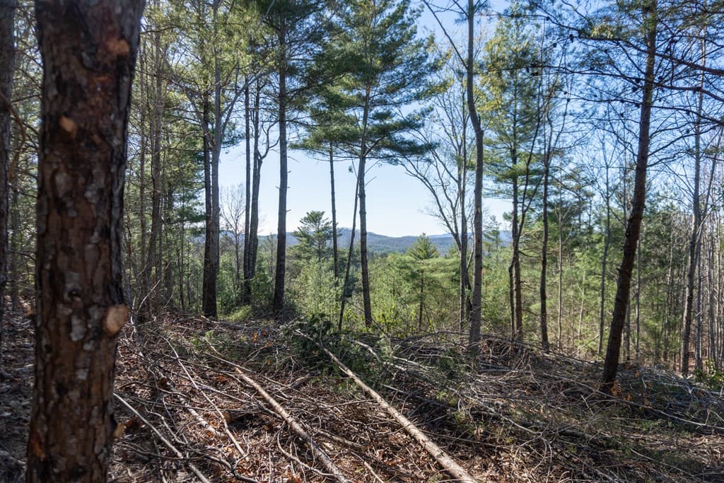 41AC Loving Road, Blairsville GA 30512 - Photo
