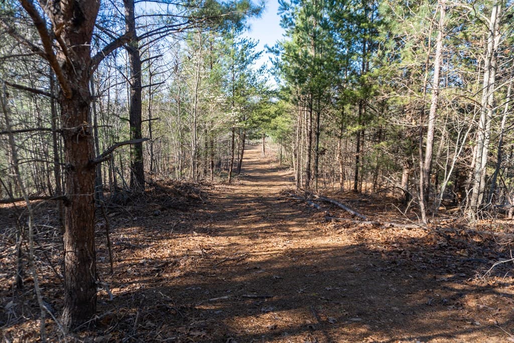41AC Loving Road, Blairsville GA 30512 - Photo