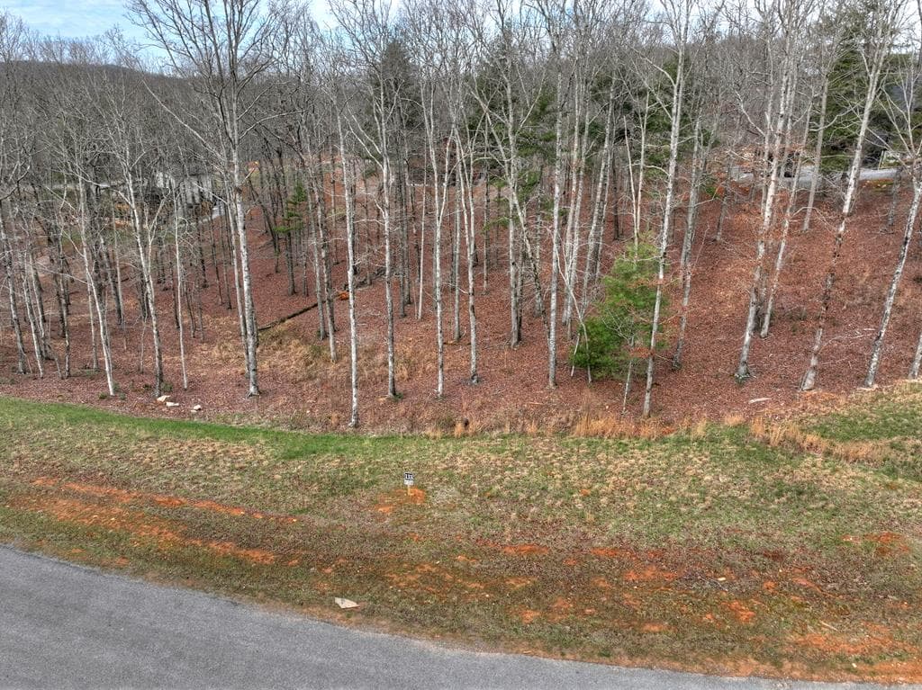Lot 133 Ridges Of Blue Ridge, Morganton GA 30560 - Photo