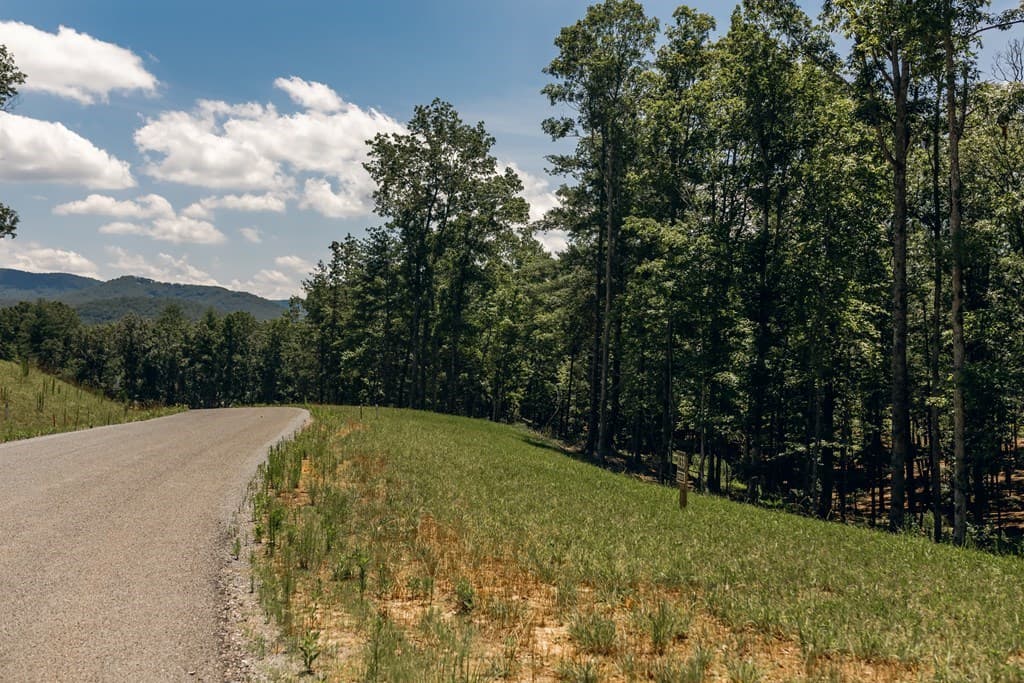 Lot 133 Ridges Of Blue Ridge, Morganton GA 30560 - Photo