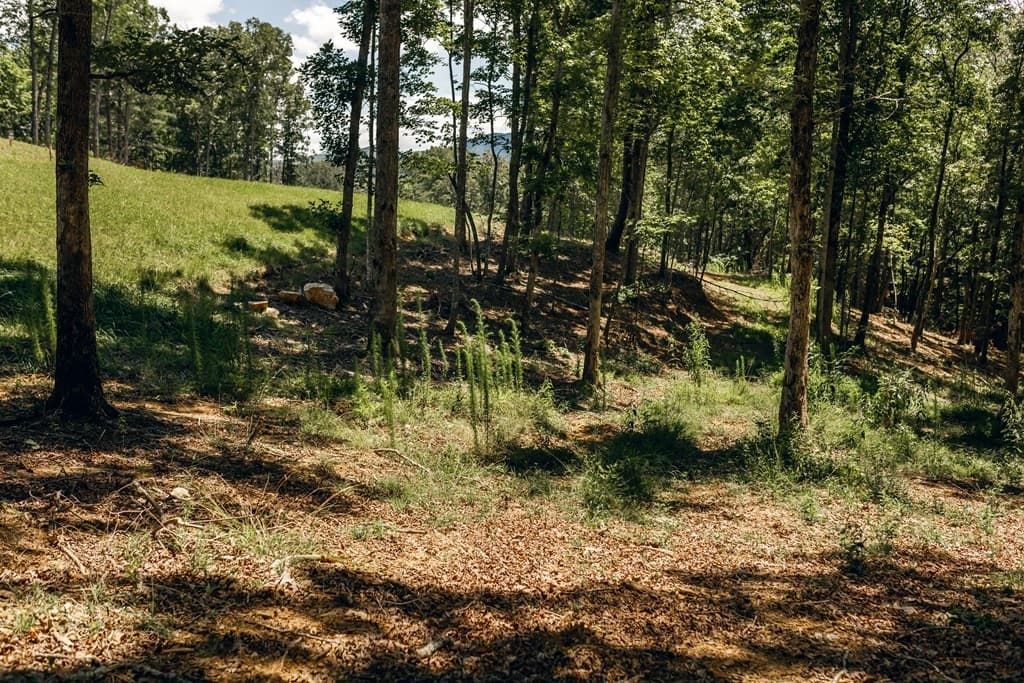 Lot 133 Ridges Of Blue Ridge, Morganton GA 30560 - Photo