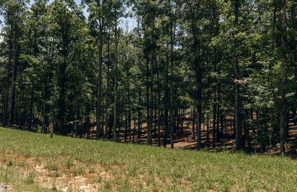 Lot 133 Ridges Of Blue Ridge, Morganton GA 30560 - Photo
