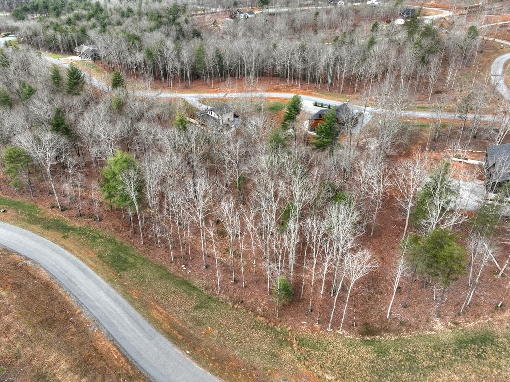 Lot 133 Ridges Of Blue Ridge, Morganton GA 30560 - Photo