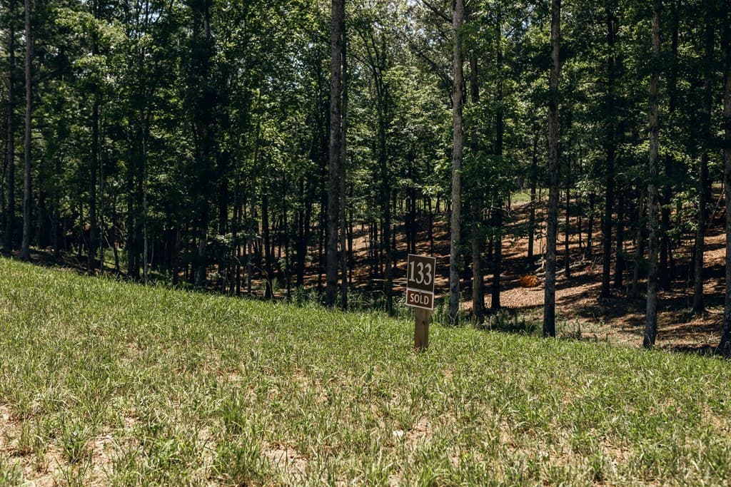 Lot 133 Ridges Of Blue Ridge, Morganton GA 30560 - Photo