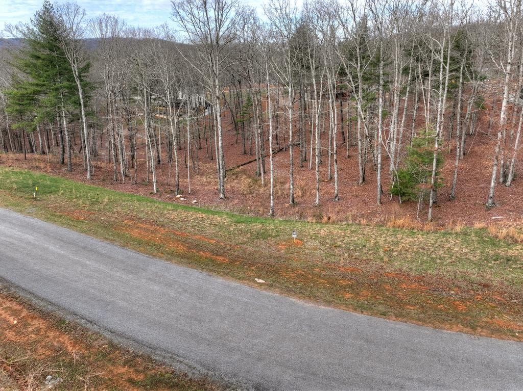 Lot 133 Ridges Of Blue Ridge, Morganton GA 30560 - Photo