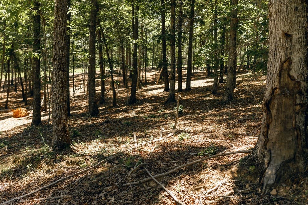 Lot 133 Ridges Of Blue Ridge, Morganton GA 30560 - Photo