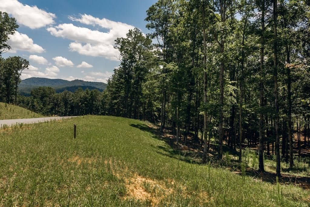 Lot 133 Ridges Of Blue Ridge, Morganton GA 30560 - Photo