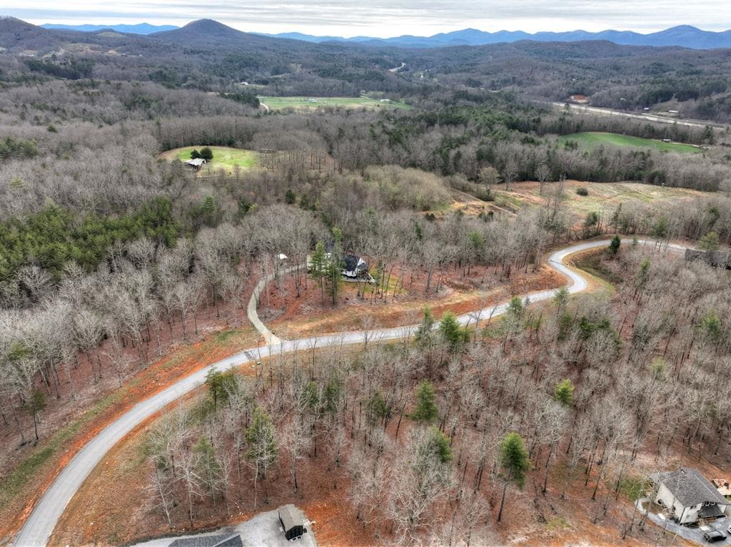 Lot 133 Ridges Of Blue Ridge, Morganton GA 30560 - Photo