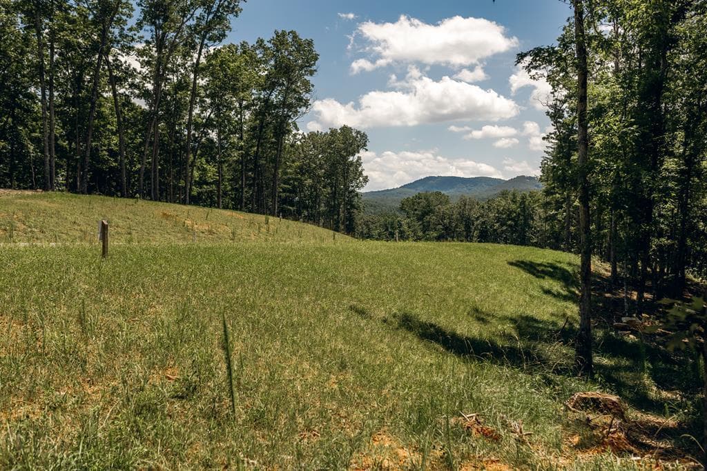 Lot 133 Ridges Of Blue Ridge, Morganton GA 30560 - Primary photo