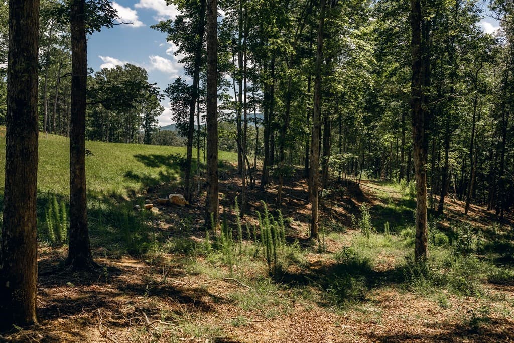 Lot 133 Ridges Of Blue Ridge, Morganton GA 30560 - Photo