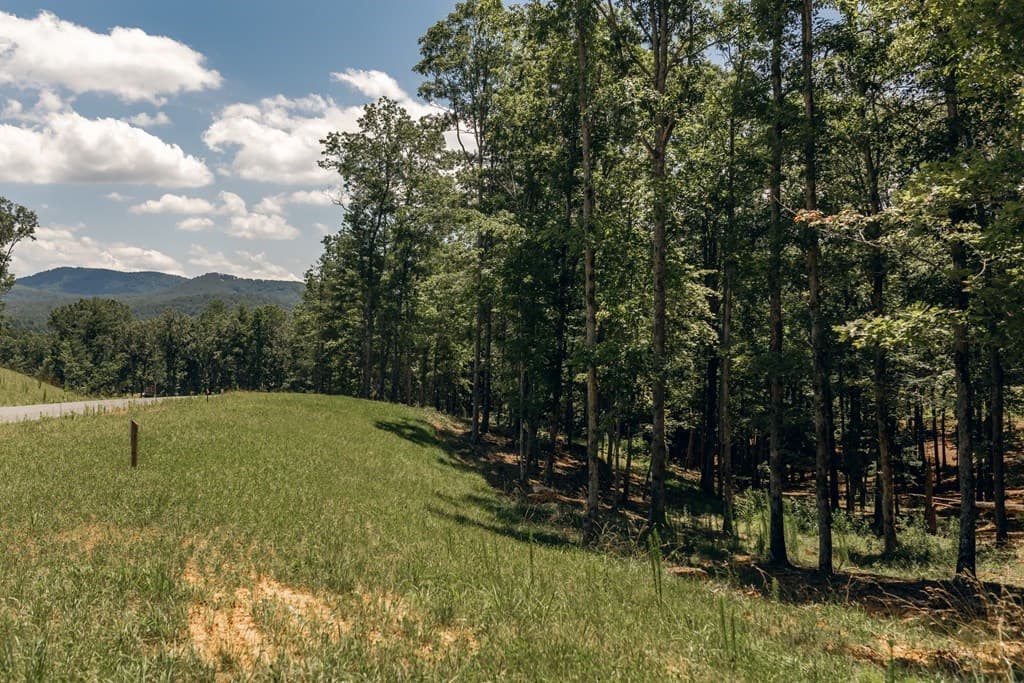 Lot 133 Ridges Of Blue Ridge, Morganton GA 30560 - Photo