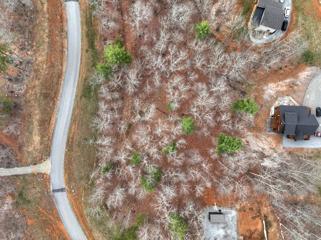 Lot 133 Ridges Of Blue Ridge, Morganton GA 30560 - Photo