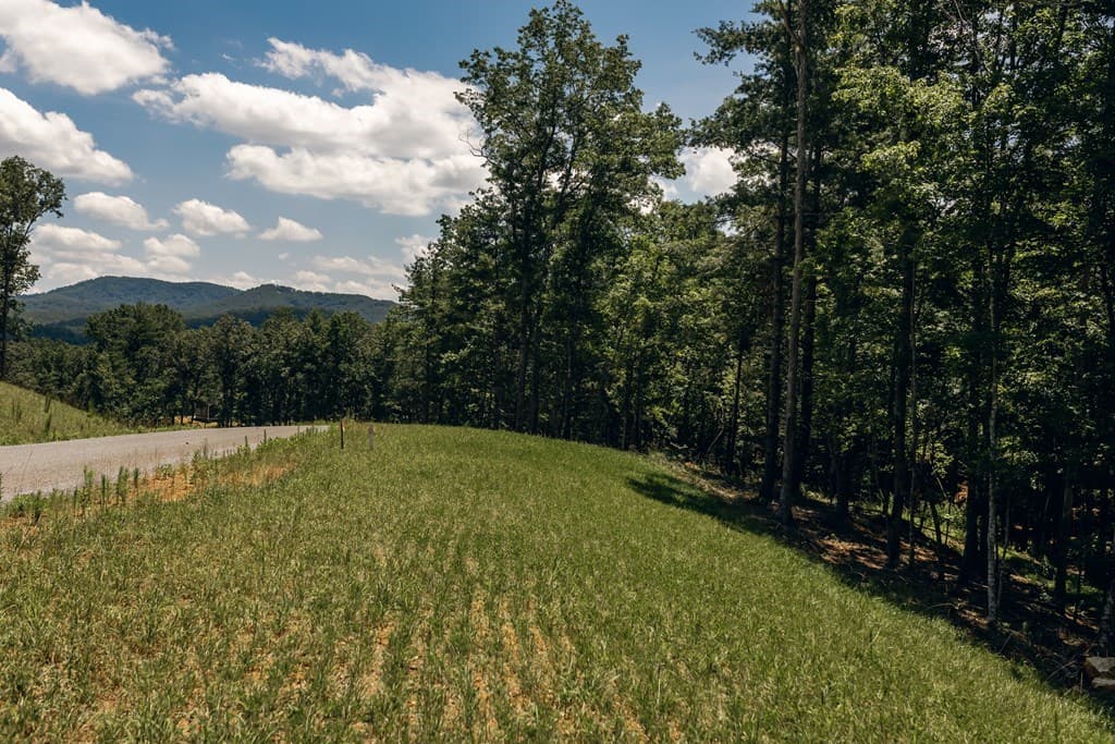 Lot 133 Ridges Of Blue Ridge, Morganton GA 30560 - Photo