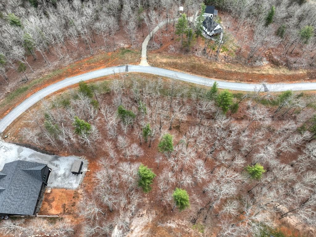 Lot 133 Ridges Of Blue Ridge, Morganton GA 30560 - Photo