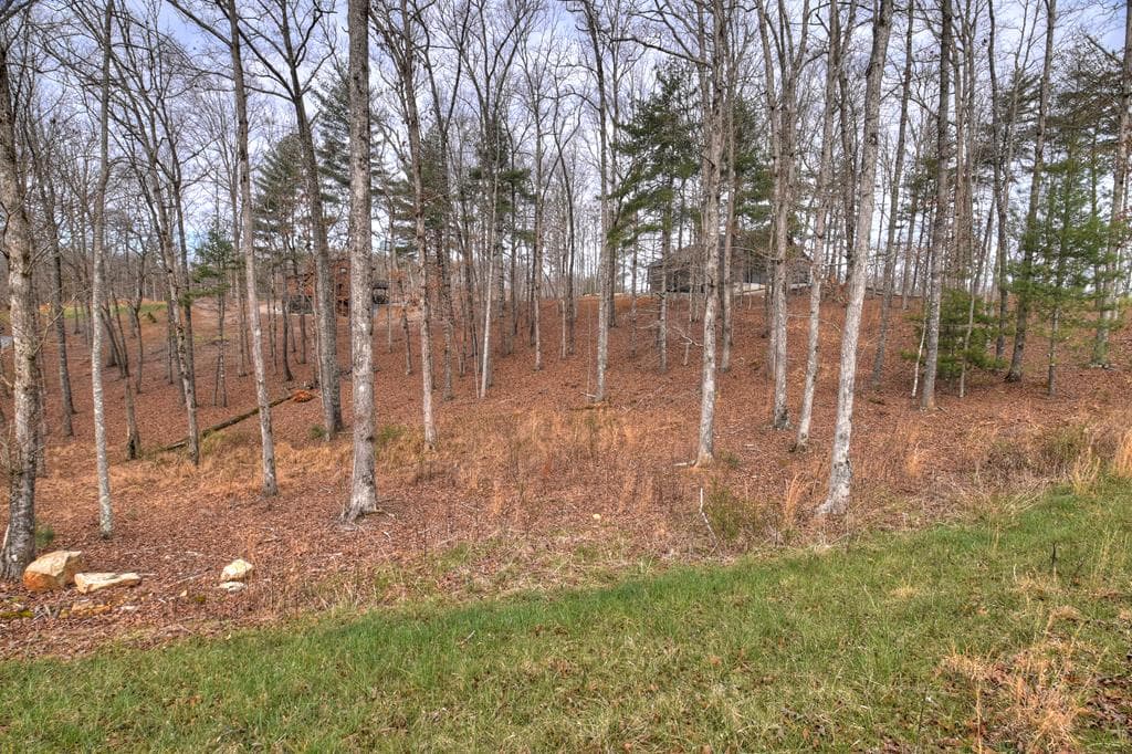 Lot 133 Ridges Of Blue Ridge, Morganton GA 30560 - Photo