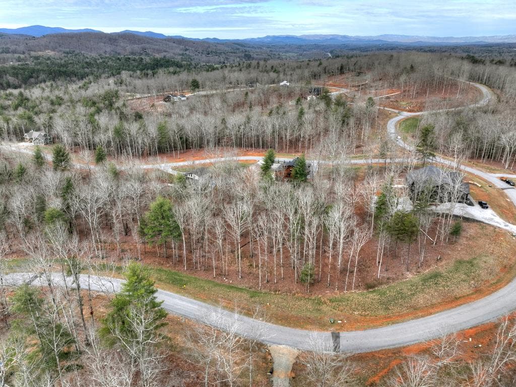 Lot 133 Ridges Of Blue Ridge, Morganton GA 30560 - Photo