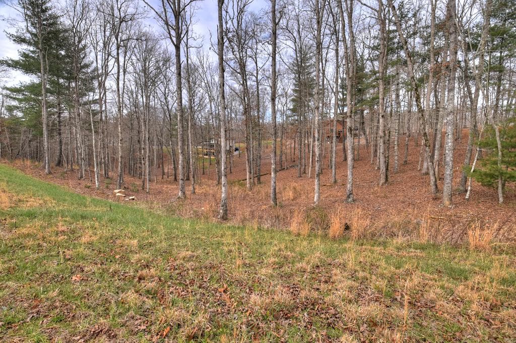 Lot 133 Ridges Of Blue Ridge, Morganton GA 30560 - Photo