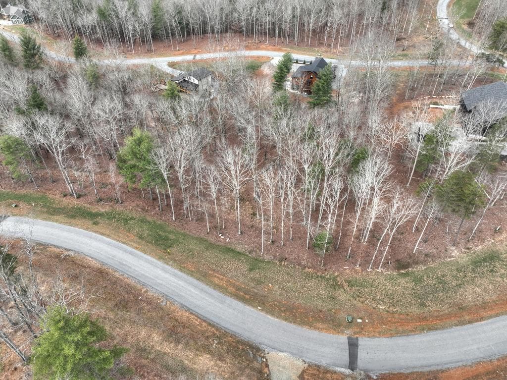 Lot 133 Ridges Of Blue Ridge, Morganton GA 30560 - Photo