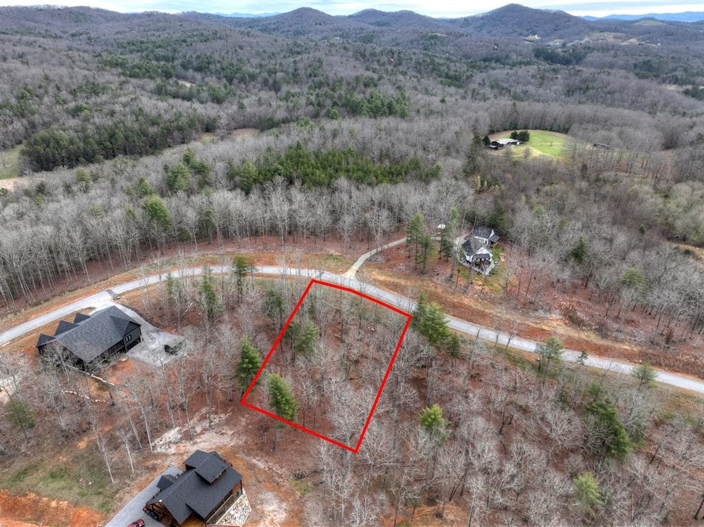Lot 133 Ridges Of Blue Ridge, Morganton GA 30560 - Photo